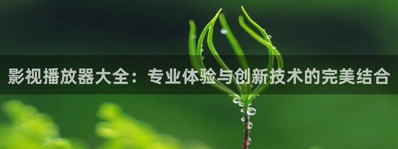 人人影院在线看