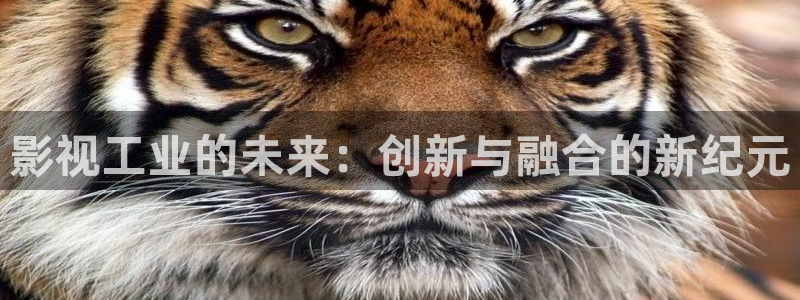 人人干人人黄在线视频
