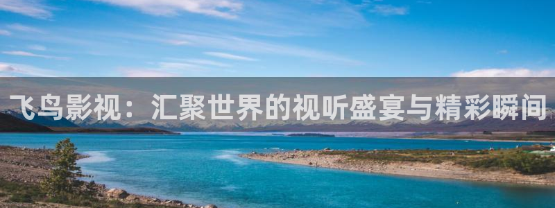 97人人爽人人爽人人片