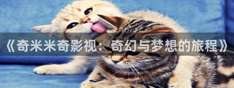 人人字幕网