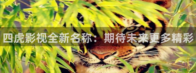 人人电影