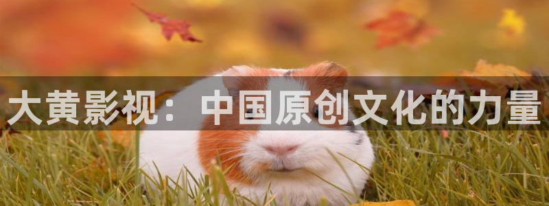 人人tv在线下载