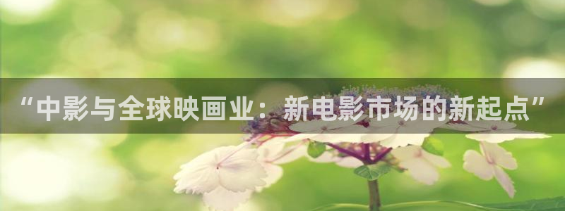 人人射影院